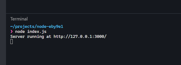 Starting the Node.js server from the terminal